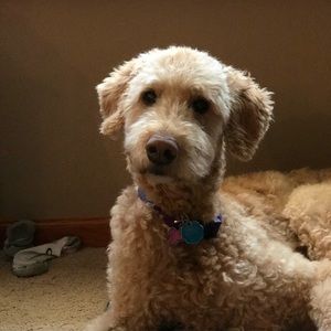 Meet your Posher, Carolyne